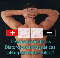 Par Biomagnético se define como el conjunto de cargas que identifican una patología y que está constituido por dos cargas de polaridad opuesta que se forma a expensas de la alteración fundamental del pH+ de los órganos que la soportan.  El Par Biomagnético comprueba que existe una resonancia (absorción de energía por los átomos de una sustancia cuando son sometidos a campos magnéticos de frecuencias específicas) vibracional y energética entre dos órganos con polaridad contraria.  El Par Biomagnético se determina a través de un dialogo binario (extensión-contracción) entre el terapeuta y las células corporales. A partir de este diagnóstico los campos que se encuentran irregulares se pueden intervenir por medio de la resonancia de los imanes dando como resultado el balance de las cargas, por tanto el equilibrio biomagnético.  El Par Biomagnético tiene tres elementos bien definidos: (Polo Positivo +) pH ácido - Presencia de Virus Nivel Energético Normal (NEN) = SALUD (Polo Negativo -) pH alcalino Presencia de Bacterias  •El Polo que se genera por exceso de H+ (iones de Hidrogeno) en donde el pH+ es ácido y da lugar a la presencia y desarrollo de virus•  El Nivel Energético Normal (NEN) es donde el pH+ es prácticamente neutro y donde se llevan a cabo todas las funciones vitales normales del organismo humano sano.  • El Polo Negativo se genera por déficit de H+ y por la presencia de radicales libres complejos con polaridad negativa en donde el pH+ es alcalino dando lugar a la presencia y desarrollo de bacterias y otros gérmenes.  Las cargas energéticas del Par Biomagnético tienen una misma intensidad, el mismo número de partículas elementales y la misma frecuencia bioenergética, de tal manera que al enfrentar una carga con su polaridad contraria, por efecto de la inducción magnética, se anulan sus potenciales respectivos y en ese momento, al restaurarse el equilibrio natural del pH+, los virus pierden su información genética y las bacterias el medio alcalino favorable para su metabolismo y reproducción.